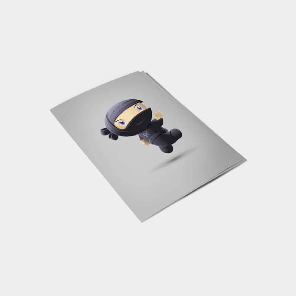 Flying Ninja - Afbeelding 2